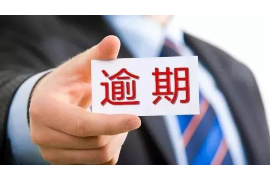 桑日如何避免债务纠纷？专业追讨公司教您应对之策